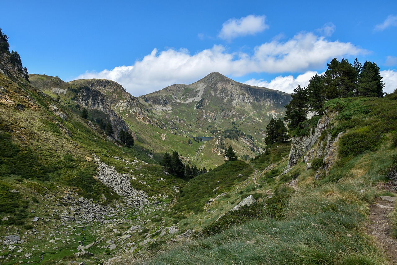 mountain, pyrenees, trees, nature, trail, hiking, landscape