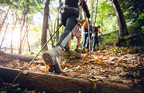hiker woman with trekking sticks climbs steep on mountain trail,